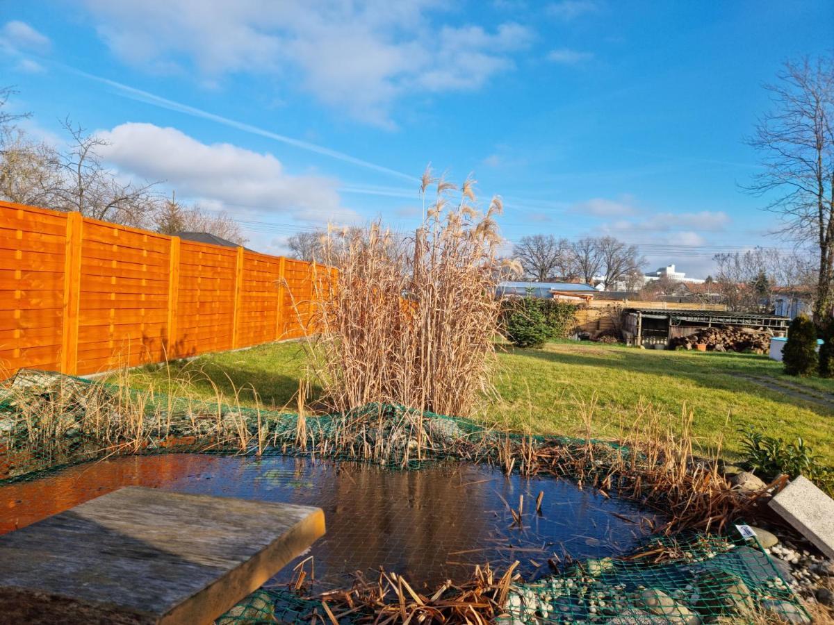 Liebevoll Eingerichtetes Haus Mit Grossem Garten In Dresden - Telefonnummer Und Video Unter Www Fhvn De Villa Exterior photo